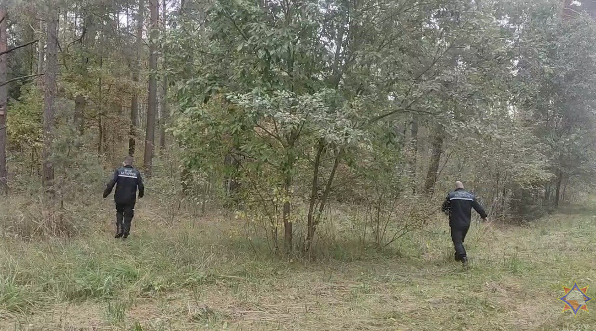 В Краснопольском районе пенсионер заблудился в лесу без телефона. Его нашли меньше чем за час