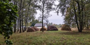 Погода 21 сентября в Могилевской области: существенно похолодает, ожидаются дожди