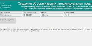Как работает налоговый сервис о задолженности по платежам в бюджет, рассказали в инспекции МНС