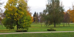 Погода на неделю в Могилевской области: местами до +27°С, с четверга — дожди