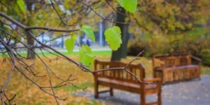 Погода 9 сентября в Могилевской области: лето возвращается