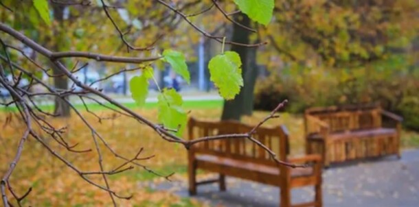 Погода 27 сентября в Могилевской области: до +20°С, небольшие кратковременные дожди