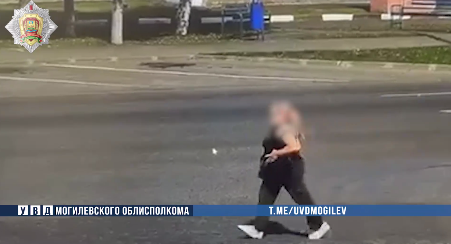 В Могилеве раскрыли серию краж на городском рынке
