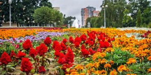 Ночи станут холоднее, днем ожидается около +20°С в начале следующей недели в Могилевской области