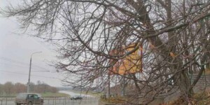 Погода на неделю в Могилевской области: мало дождей, около +10°С днем и ночные заморозки к выходным