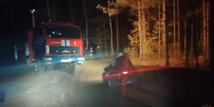 В Осиповичском районе пенсионер пошел за грибами и потерялся