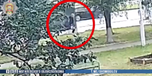 В Бобруйске забытая на остановке сумка обернулась уголовным делом